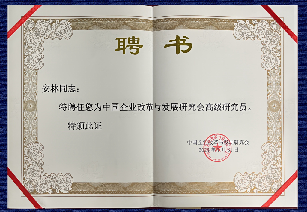 中國企業(yè)改革與發(fā)展研究會高級研究員——安林
